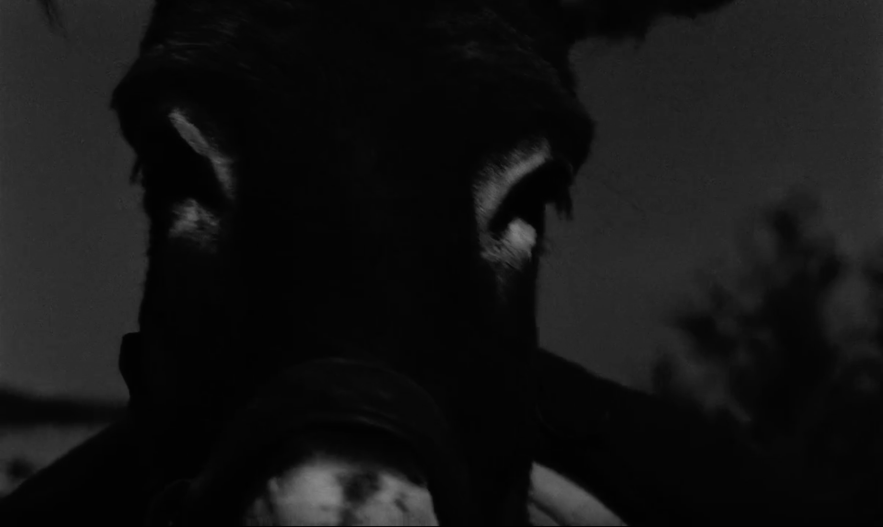 Description de l’image